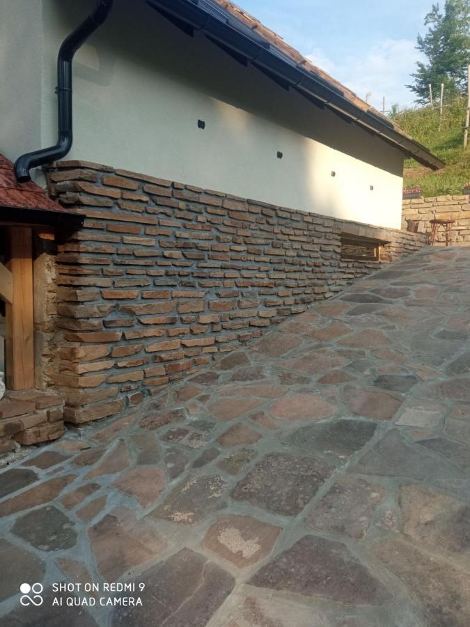Zavojsko Jezero - Vila Jezero Pirot Exterior foto